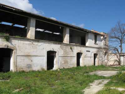 Di vera e propria �svolta culturale� si pu� parlare poi per Terlizzi, dove in via Macello il complesso dell�ex mattatoio...